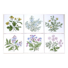 Kitchen Tiles