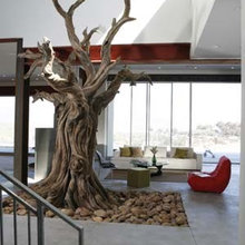 Atrium