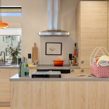 Modern ADU w/ Art Gallery & Rooftop Deck- NextGen Home Builders in Highland Park