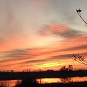 Fran Jones's photo