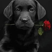 Sherrill Knill's photo