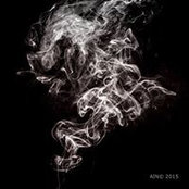Aino Assmus's photo