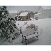 Marie Beachy's photo