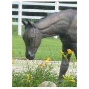 Lynn Hatheway's photo