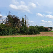 Foto von Sarah
