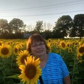 Patti Stebbins's photo