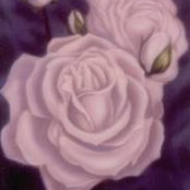 Sterling Rose's photo
