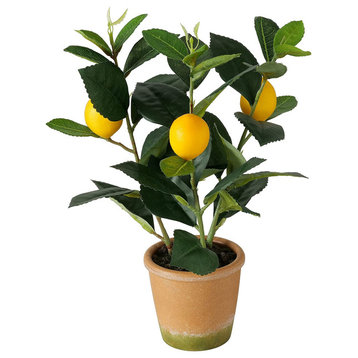 Potted Lemon Topiary Tree , 12.5 Inches