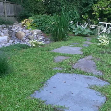 Rainwater Harvesting System & Planting