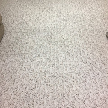 Bloomingdale Basement Berber Carpet Cleaning