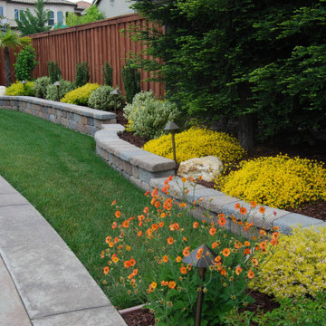 Mediterranean Style Front Yard in Roseville