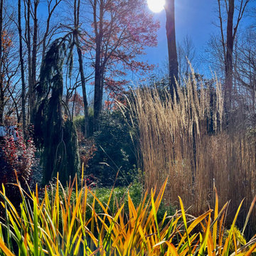 Magical autumnal sunlight