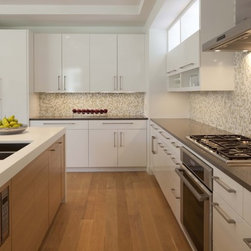 Contemporary Kitchen Cabinets - Products