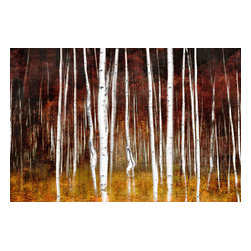 Franklin Arts - Aspen Birch Tree Abstract Wall Artwork, 48x32 - Prints And Posters