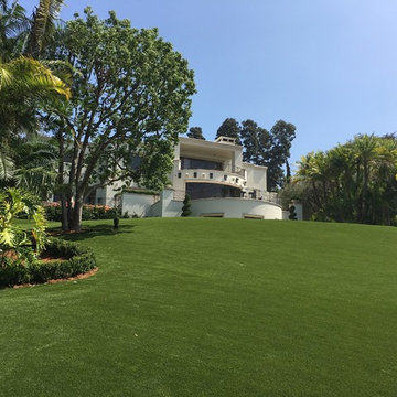 Artificial Turf