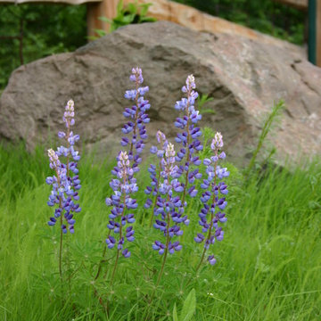 Prairie Gardens