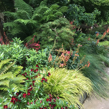 Vibrant Piedmont Front Yard