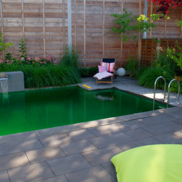 Familiengarten mit Naturpool