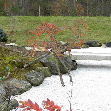 Leaning Crabapple, in Autumn