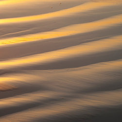 Roe Anne White Photography - Padaro Beach 240 - 2011 - Photographs