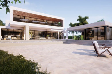 135 Palm