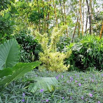 Collectors Garden