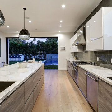 Modern Kitchen Venice Beach