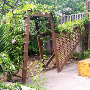 Passion Fruit Arbor