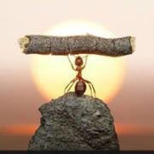 Jp Vaughan's photo