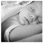 Lauri Currier's photo