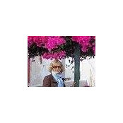 Mary Turner's photo