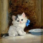 Annette Golightly's photo