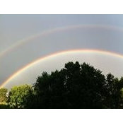 Andrea Sledge's photo