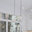 House Purchasing Group, LLC / The Stolz Team, LLC