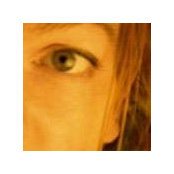 Foto von Tanja Forster