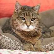 Jonney Castleman's photo