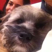 Lisa D'Aguiar's photo