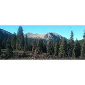 Jeremy Bott's photo