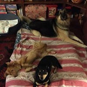 Marisa Borin's photo