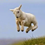 Stephanie Reed's photo