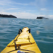 Jenny Park's photo