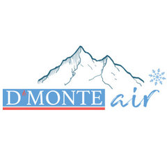 D'Monte Air Inc