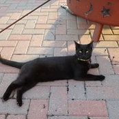 Polly Baron's photo