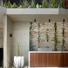 Privacy Screens