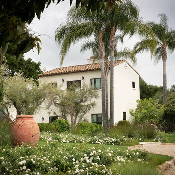 Mediterranean