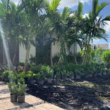 LANDSCAPING BEAUTY process
