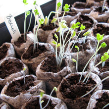 Der Garten im April – was jetzt zu tun ist