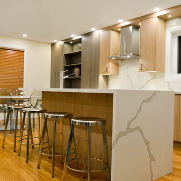 DREWRY ST. HOUSE RENOVATION