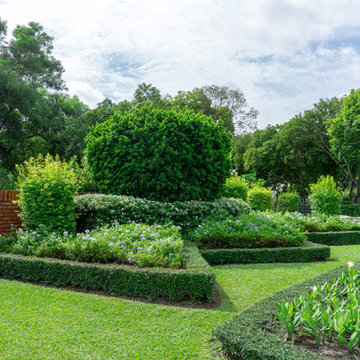 Easy Guide For The Best Shrub And Tree Care