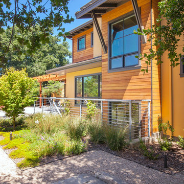 Palo Alto